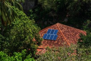 Learn Why Solar Companies Are the Future of Energy
